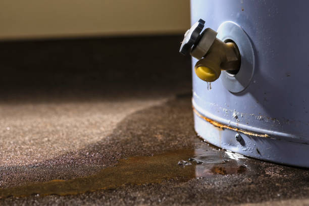 Best Basement water damage restoration  in Islamorada Village Of Islands, FL