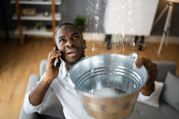 Best Water damage contractors near me  in Islamorada Village Of Islands, FL