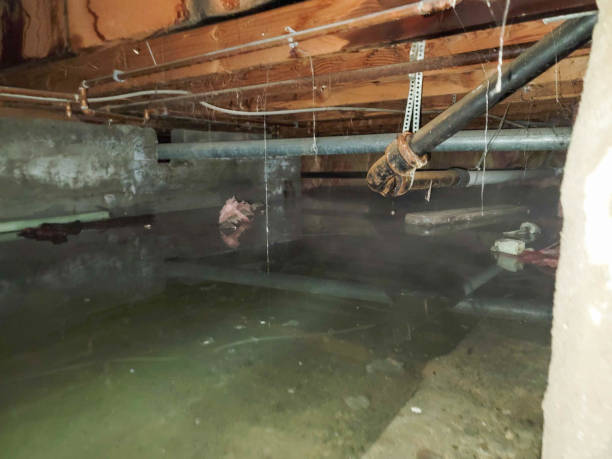 Best Fire Damage Restoration  in Islamorada Village Of Islands, FL