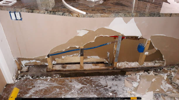 Best Professional water damage repair  in Islamorada Village Of Islands, FL