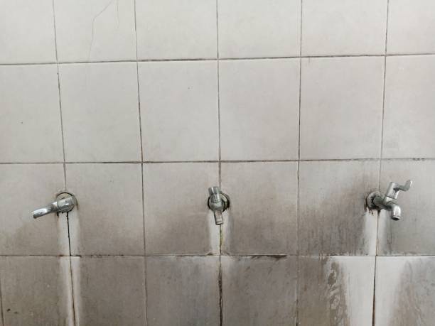 Reliable Islamorada Village Of Islands, FL Water damage restoration Solutions